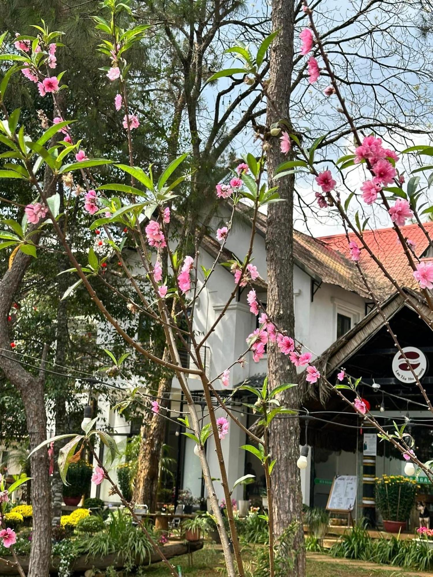 S'Nghe Homestay Mang Den Kon Von Kla Eksteriør bilde